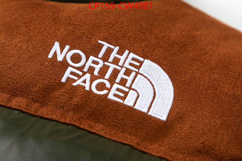 Down jacket Women-The North Face,where can you buy replica , ID: CW4981,$: 159USD