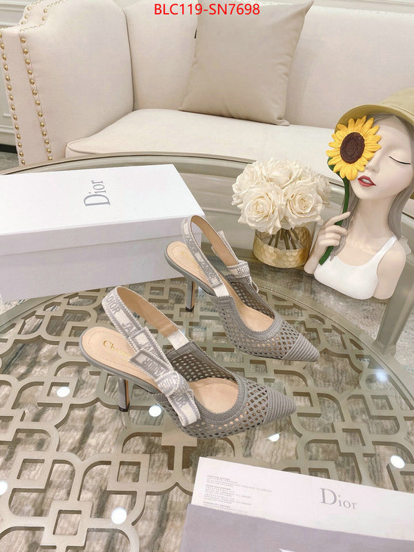 Women Shoes-Dior,how to buy replcia , ID: SN7698,$: 119USD