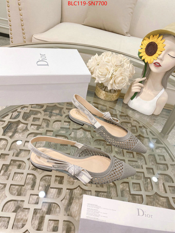 Women Shoes-Dior,sell online luxury designer , ID: SN7700,$: 119USD