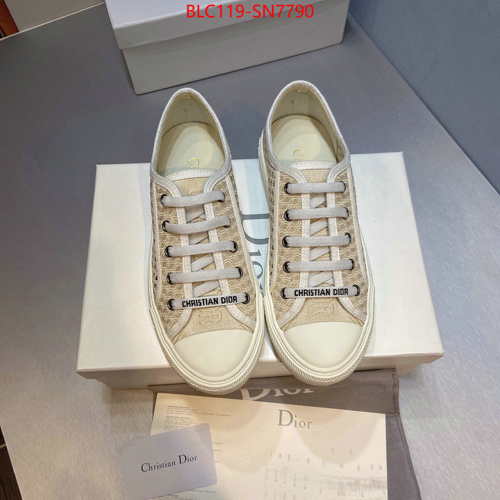 Women Shoes-Dior,2023 replica wholesale cheap sales online , ID: SN7790,$: 119USD