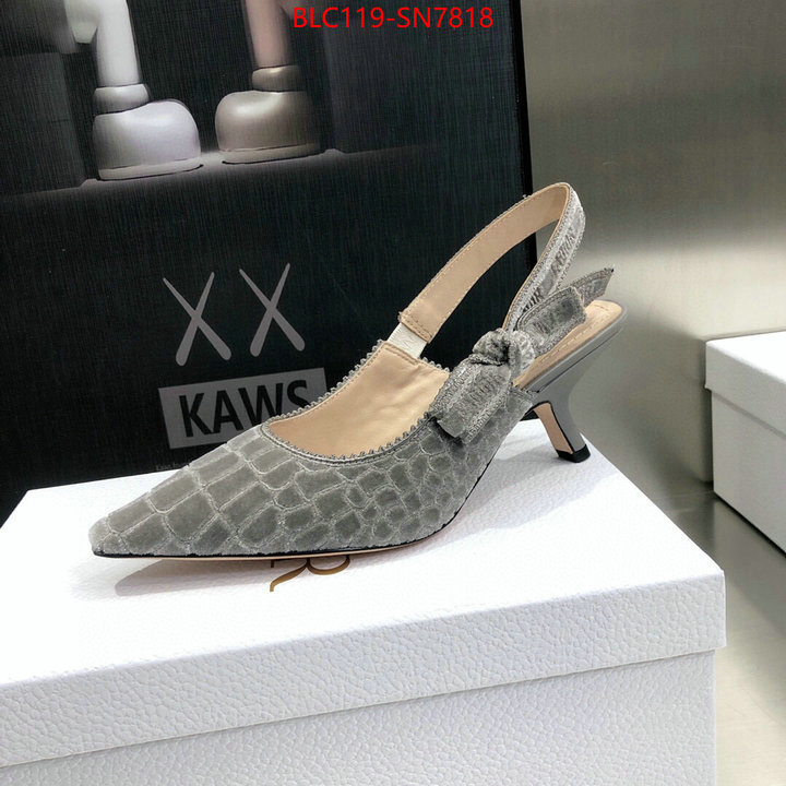 Women Shoes-Dior,aaaaa+ quality replica , ID: SN7818,$: 119USD