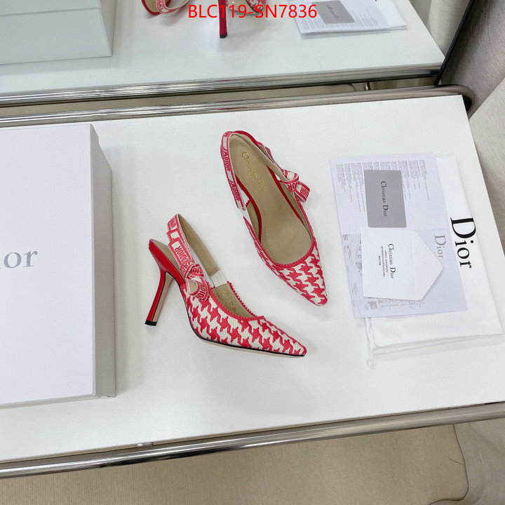 Women Shoes-Dior,what's the best to buy replica , ID: SN7836,$: 119USD