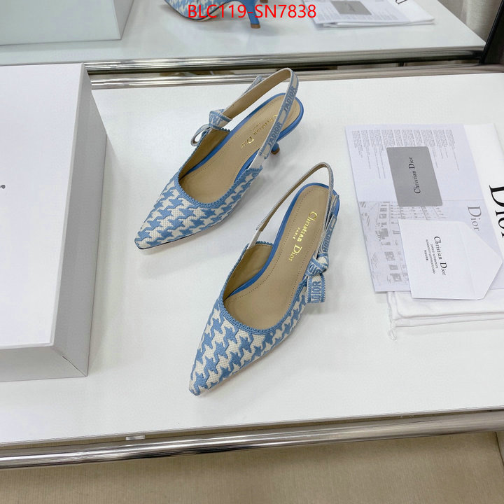 Women Shoes-Dior,can i buy replica , ID: SN7838,$: 119USD