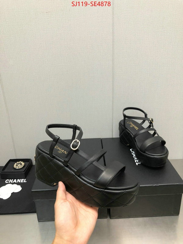 Women Shoes-Chanel,quality replica , ID: SE4878,$: 119USD