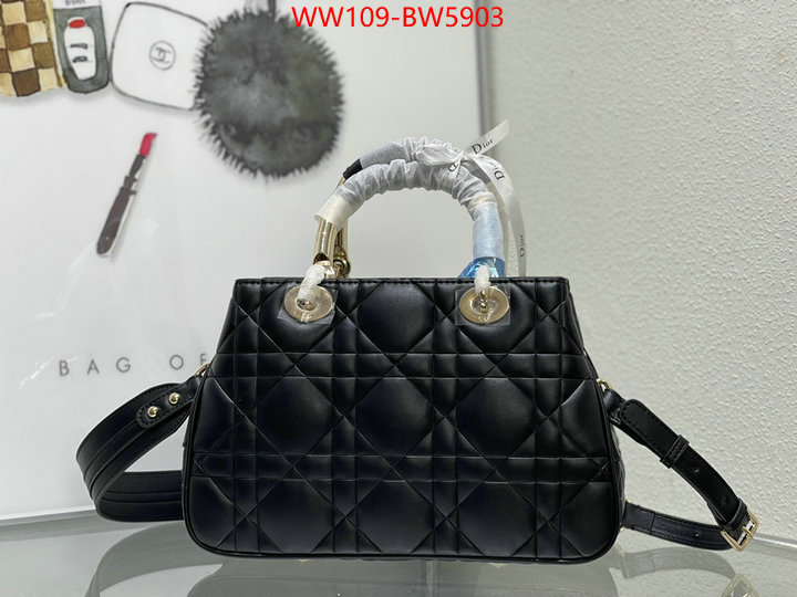 Dior Bags(4A)-Other Style-,ID: BW5903,$: 109USD