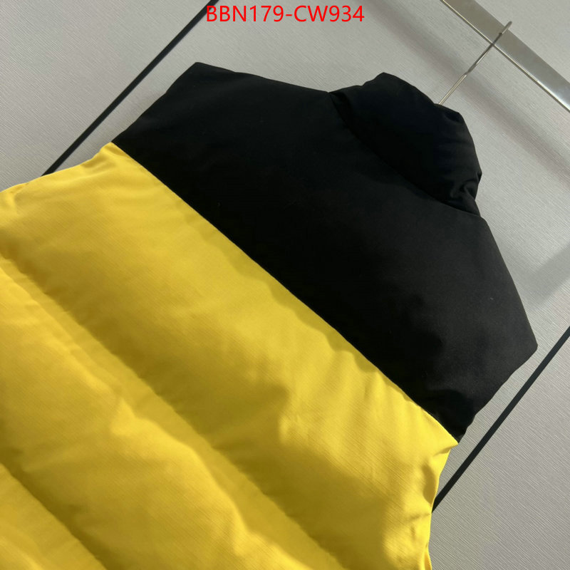 Down jacket Women-The North Face,knockoff highest quality , ID: CW934,$: 179USD