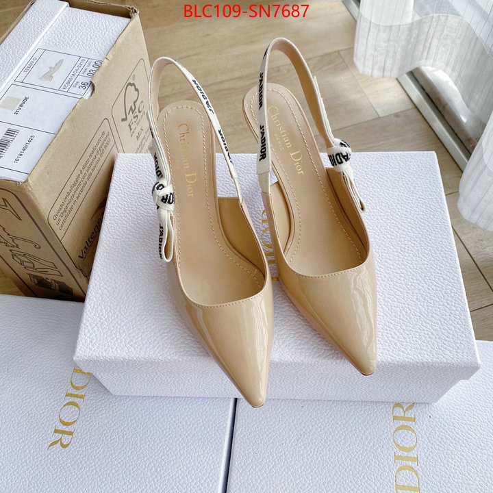 Women Shoes-Dior,cheap wholesale , ID: SN7687,$: 109USD