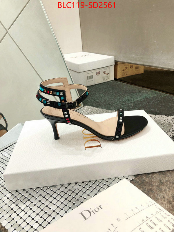 Women Shoes-Dior,sell online luxury designer , ID: SD2561,$: 119USD