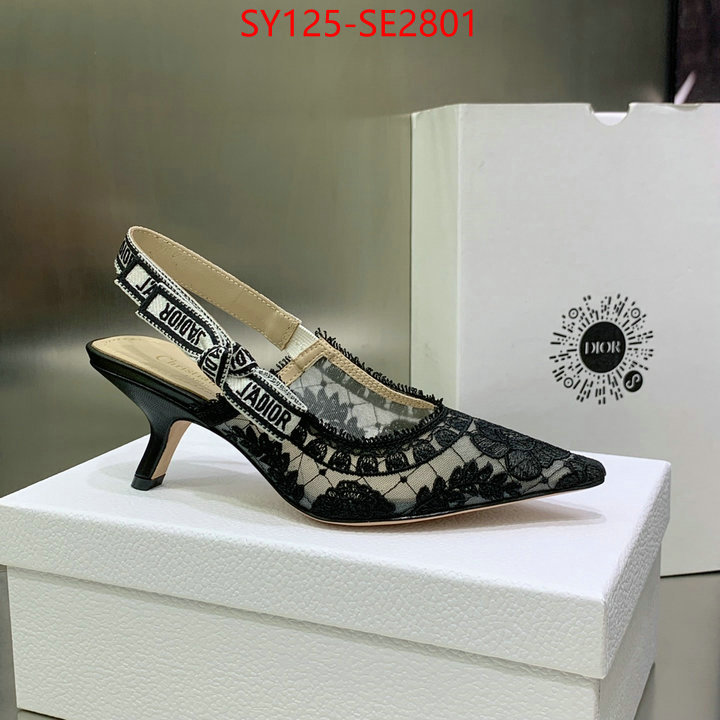 Women Shoes-Dior,the quality replica , ID: SE2801,$: 125USD