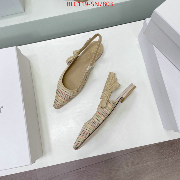 Women Shoes-Dior,replica designer , ID: SN7803,$: 119USD