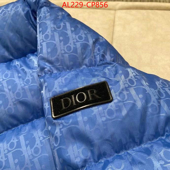 Down jacket Women-Dior,china sale , ID: CP856,$: 229USD