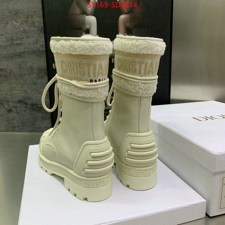 Women Shoes-Dior,is it ok to buy , ID: SD9814,$: 169USD