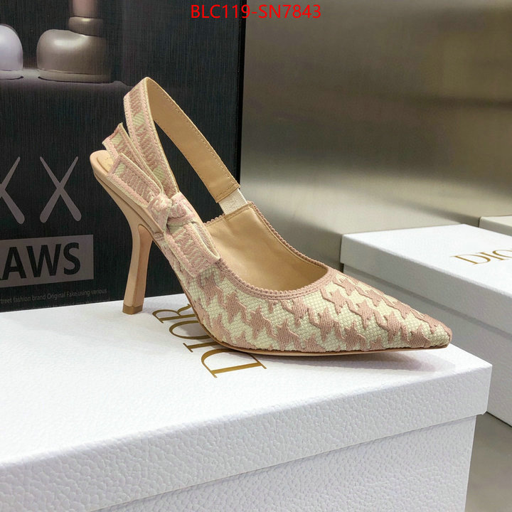 Women Shoes-Dior,we curate the best , ID: SN7843,$: 119USD