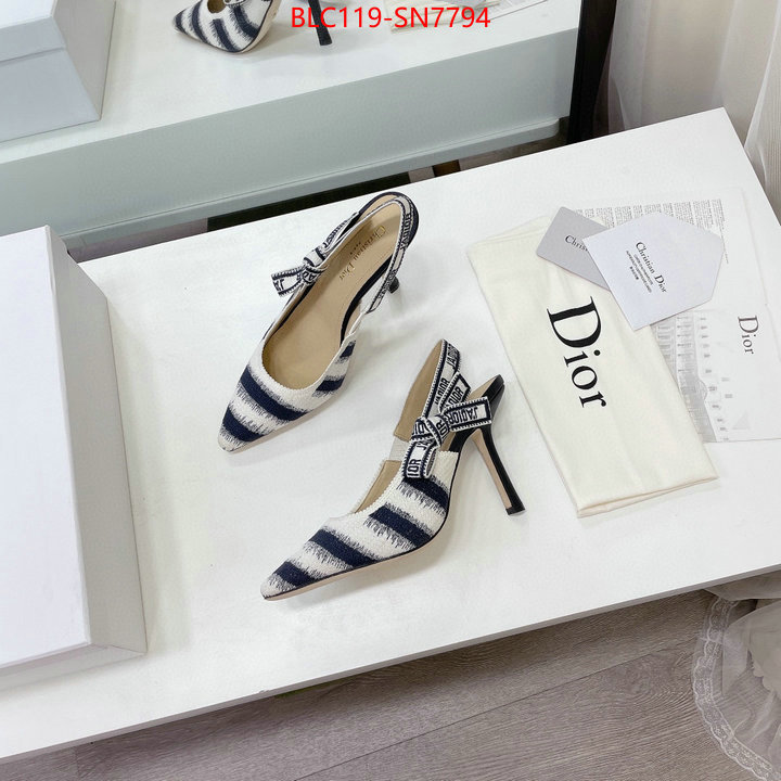 Women Shoes-Dior,online store , ID: SN7794,$: 119USD