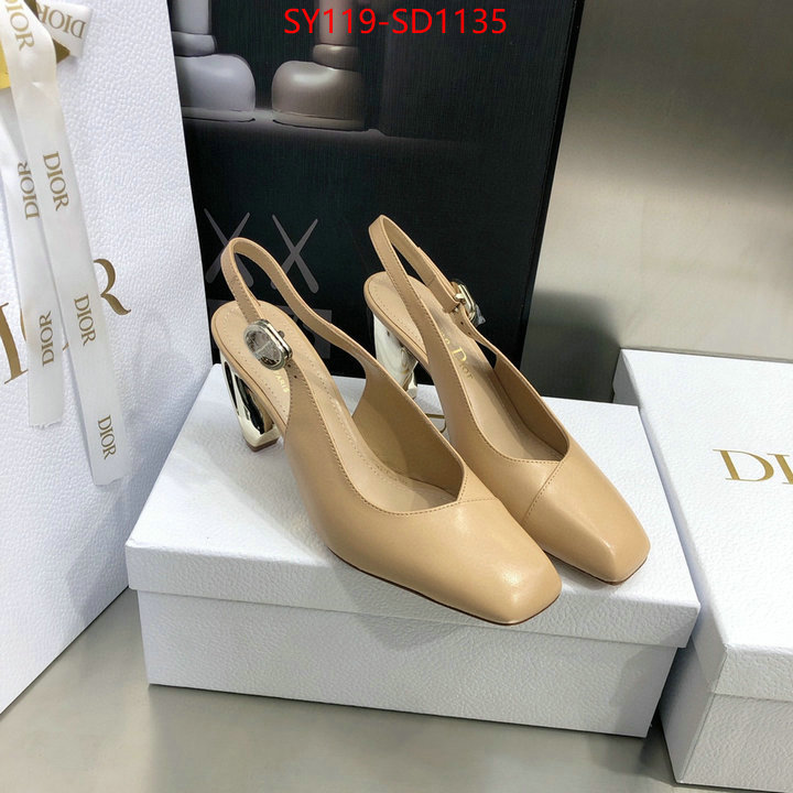 Women Shoes-Dior,customize the best replica , ID: SD1135,$: 119USD