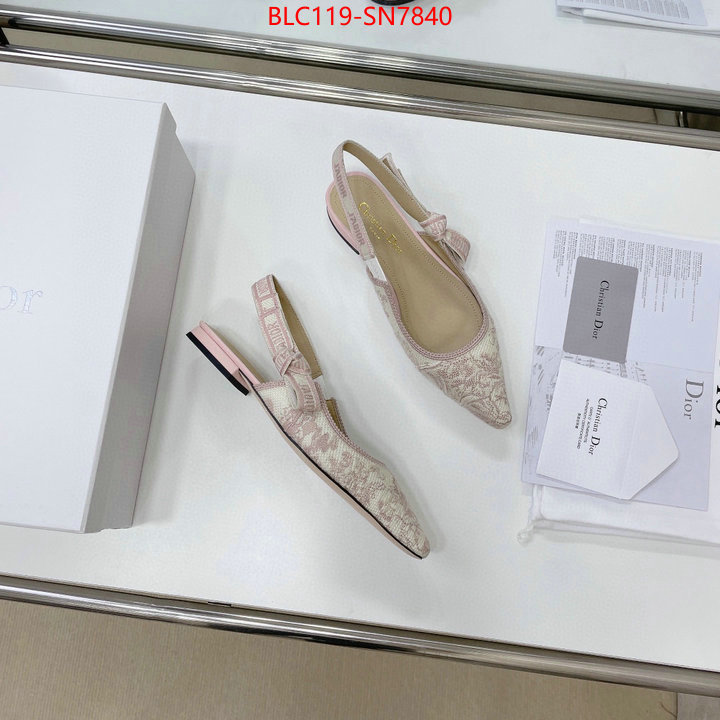 Women Shoes-Dior,replica designer , ID: SN7840,$: 119USD