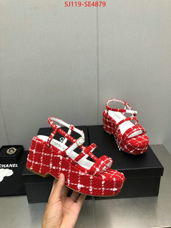 Women Shoes-Chanel,cheap replica designer , ID: SE4879,$: 119USD