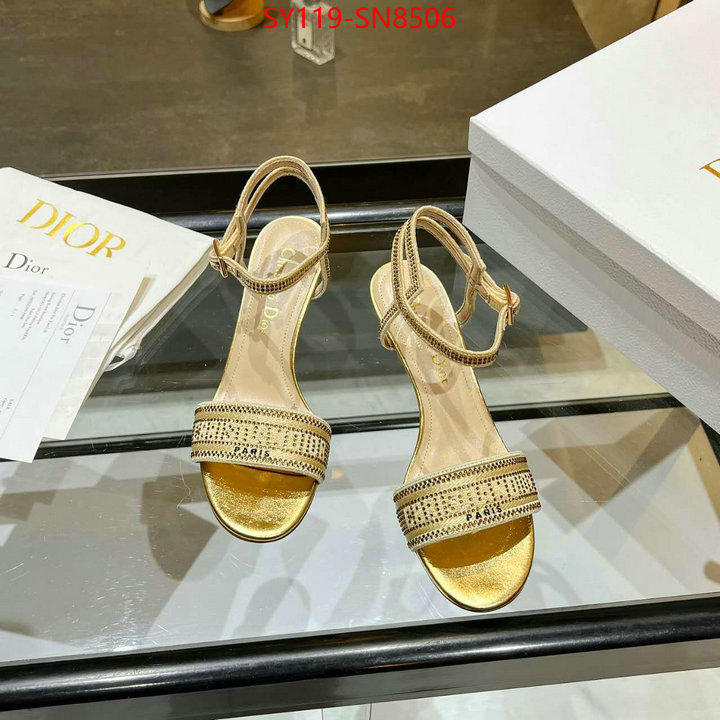 Women Shoes-Dior,knockoff , ID: SN8506,$: 119USD