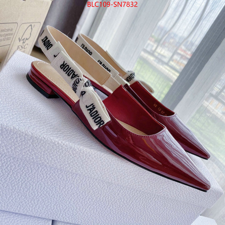 Women Shoes-Dior,2023 replica , ID: SN7832,$: 109USD