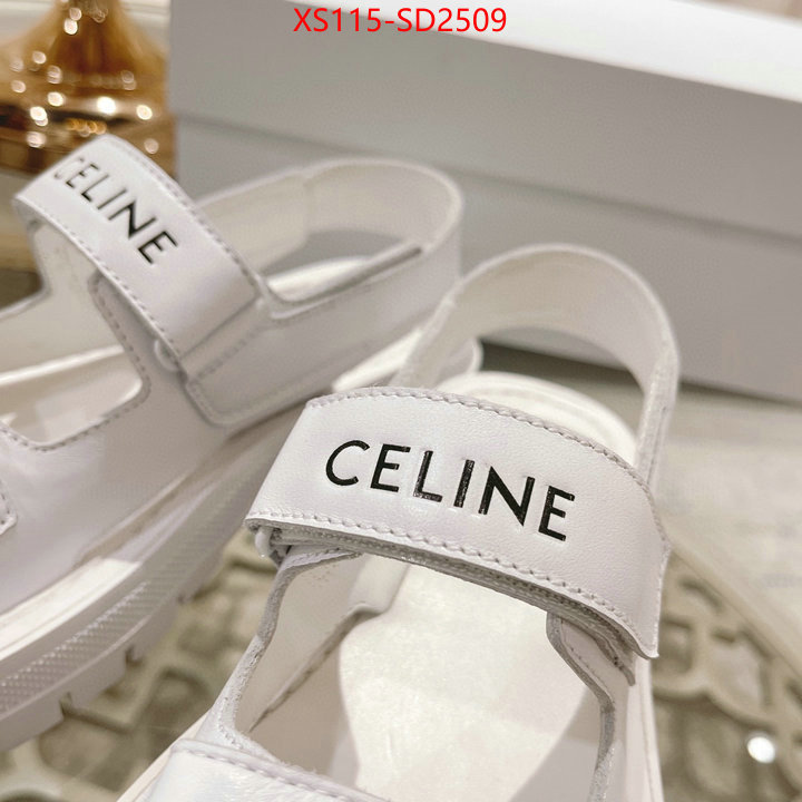 Women Shoes-CELINE,top quality designer replica , ID: SD2509,$: 115USD