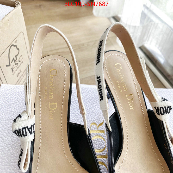 Women Shoes-Dior,cheap wholesale , ID: SN7687,$: 109USD