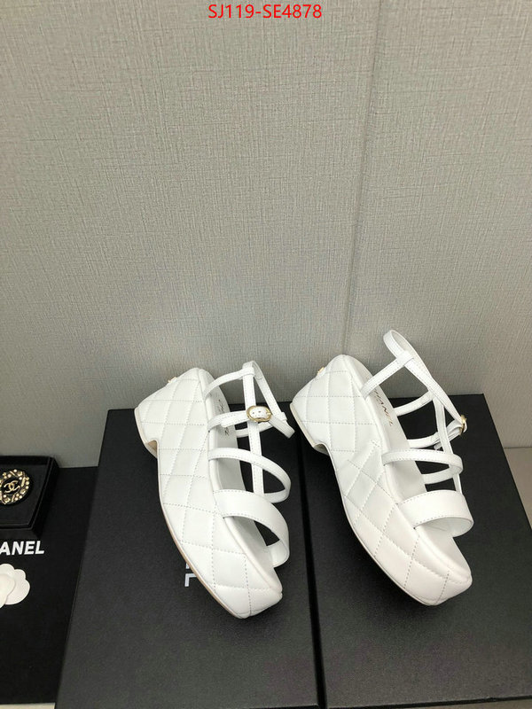 Women Shoes-Chanel,quality replica , ID: SE4878,$: 119USD