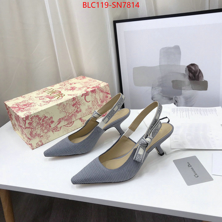 Women Shoes-Dior,how to find replica shop , ID: SN7814,$: 119USD