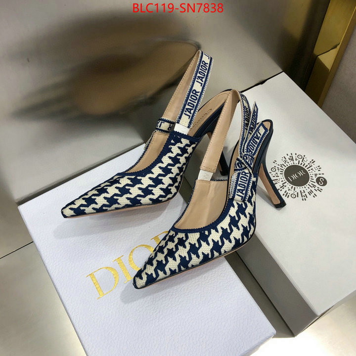 Women Shoes-Dior,can i buy replica , ID: SN7838,$: 119USD