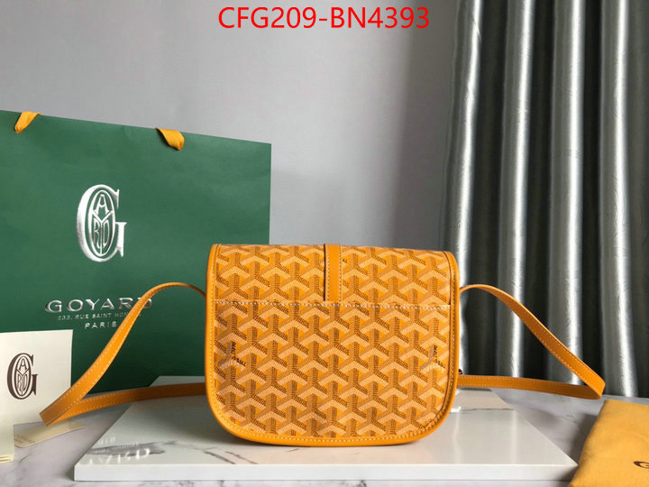 Goyard Bags(TOP)-Diagonal-,ID: BN4393,$: 209USD