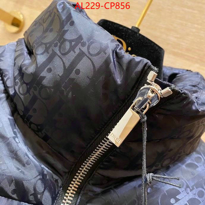 Down jacket Women-Dior,china sale , ID: CP856,$: 229USD