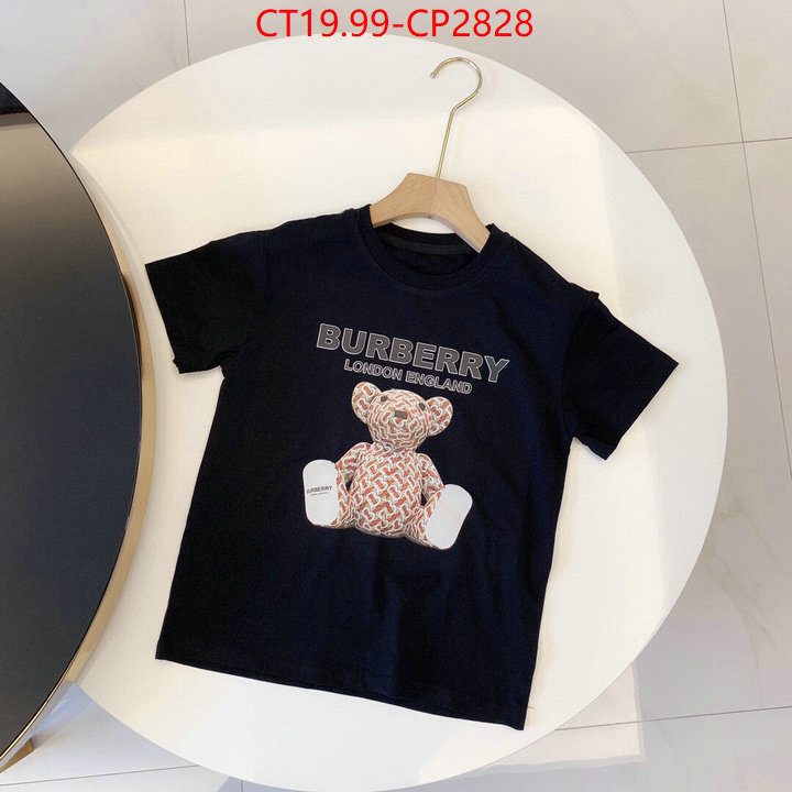 Kids clothing-Burberry,high quality , ID: CP2828,