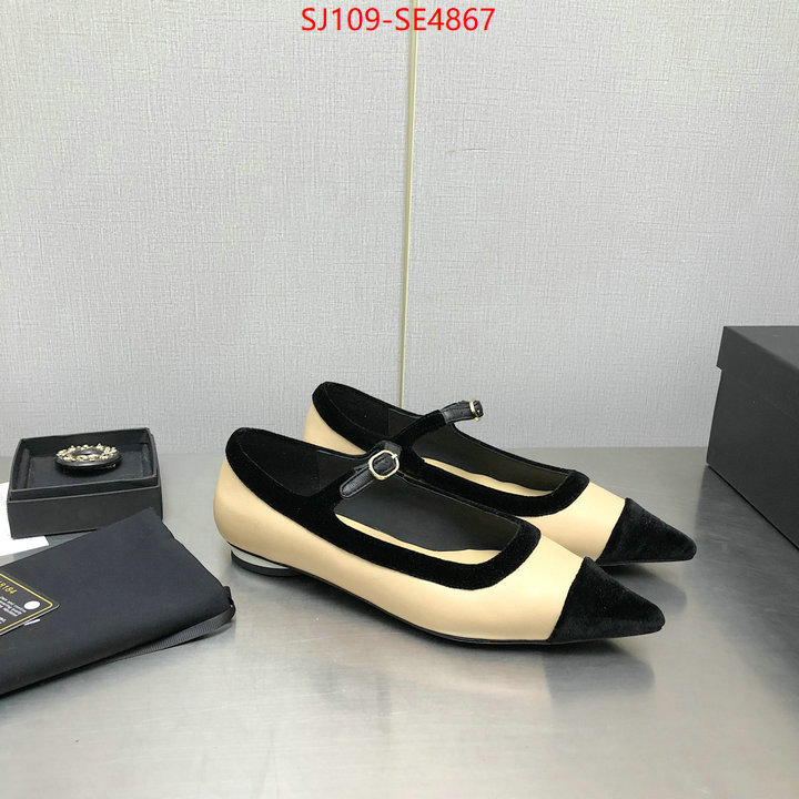 Women Shoes-Chanel,high-end designer , ID: SE4867,$: 109USD