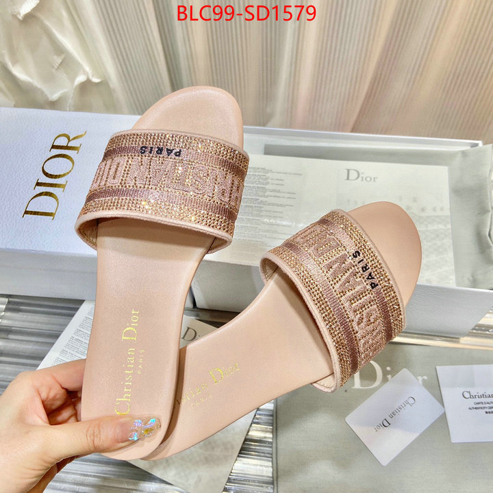 Women Shoes-Dior,buy aaaaa cheap , ID: SD1579,$: 99USD