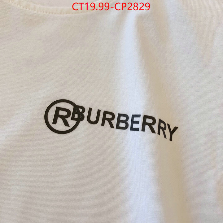 Kids clothing-Burberry,replica sale online , ID: CP2829,