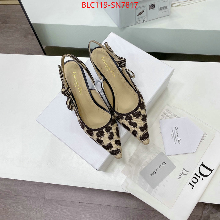 Women Shoes-Dior,top quality fake , ID: SN7817,$: 119USD