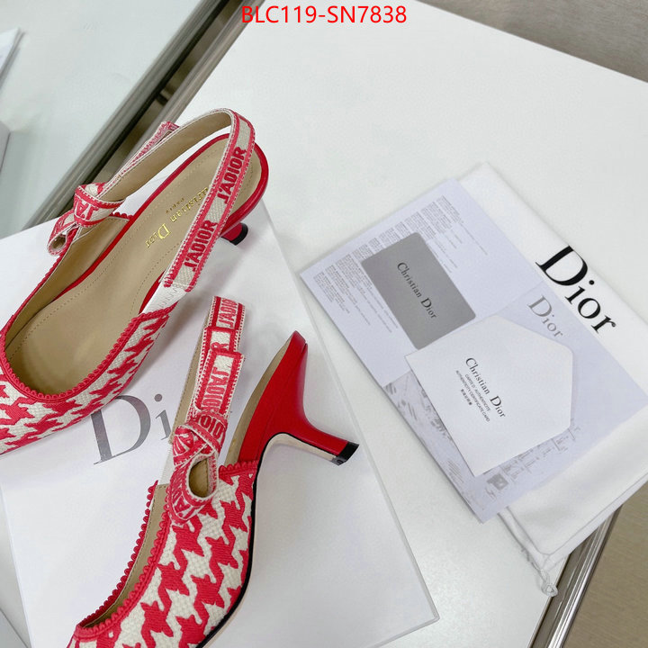 Women Shoes-Dior,can i buy replica , ID: SN7838,$: 119USD