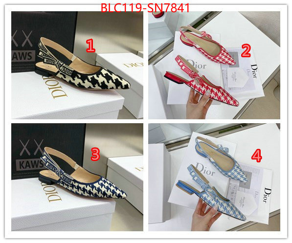 Women Shoes-Dior,outlet 1:1 replica , ID: SN7841,$: 119USD