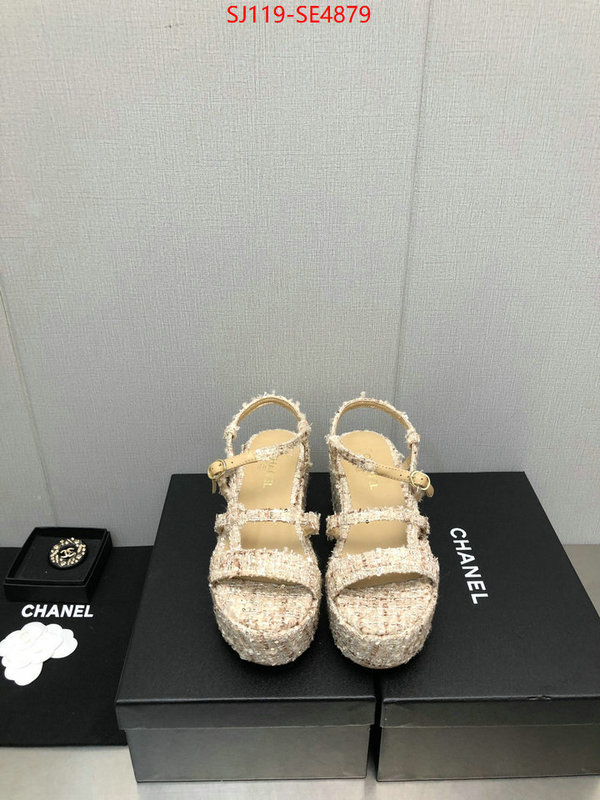 Women Shoes-Chanel,cheap replica designer , ID: SE4879,$: 119USD