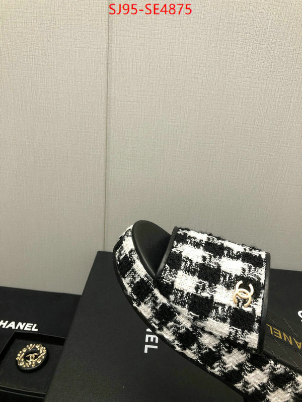 Women Shoes-Chanel,replica us , ID: SE4875,$: 95USD