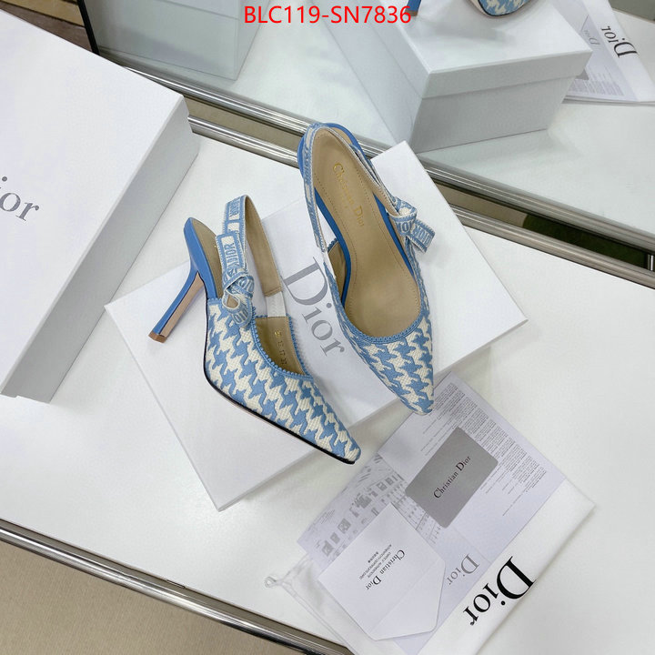 Women Shoes-Dior,what's the best to buy replica , ID: SN7836,$: 119USD