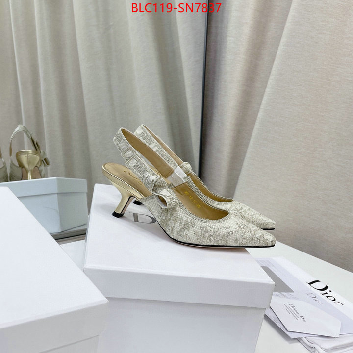 Women Shoes-Dior,replicas , ID: SN7837,$: 119USD