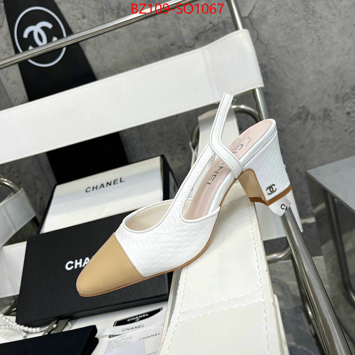 Women Shoes-Chanel,brand designer replica , ID: SO1067,$: 109USD