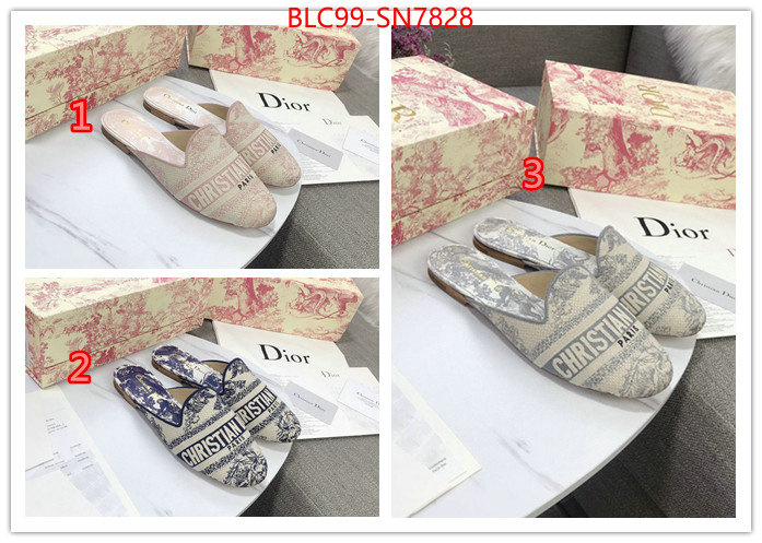 Women Shoes-Dior,1:1 replica wholesale , ID: SN7828,$: 99USD