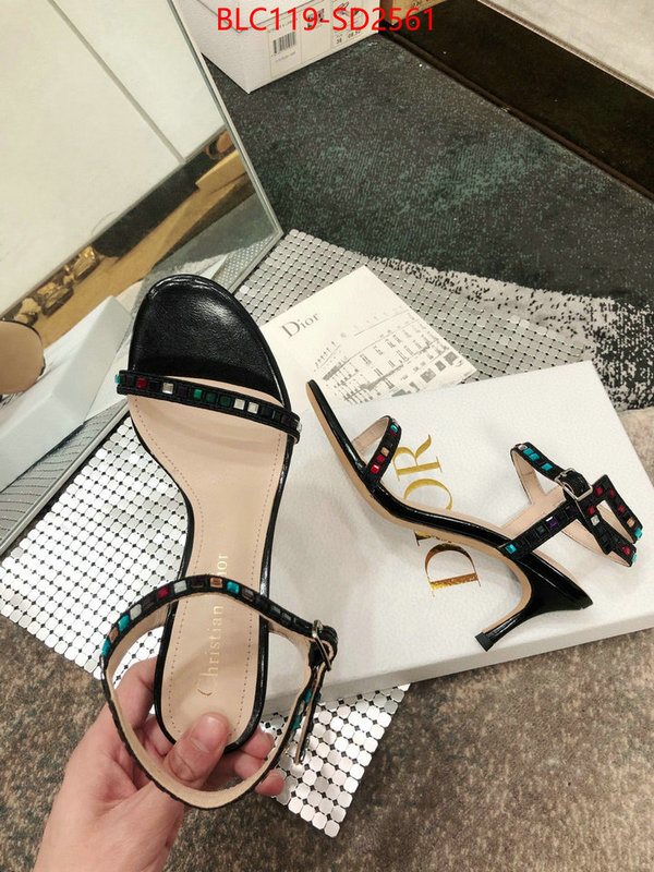 Women Shoes-Dior,sell online luxury designer , ID: SD2561,$: 119USD