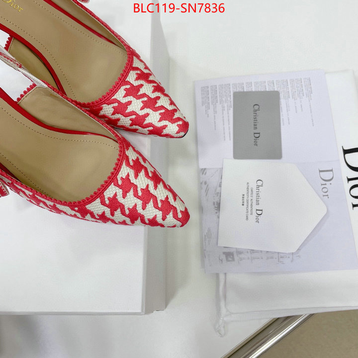 Women Shoes-Dior,what's the best to buy replica , ID: SN7836,$: 119USD