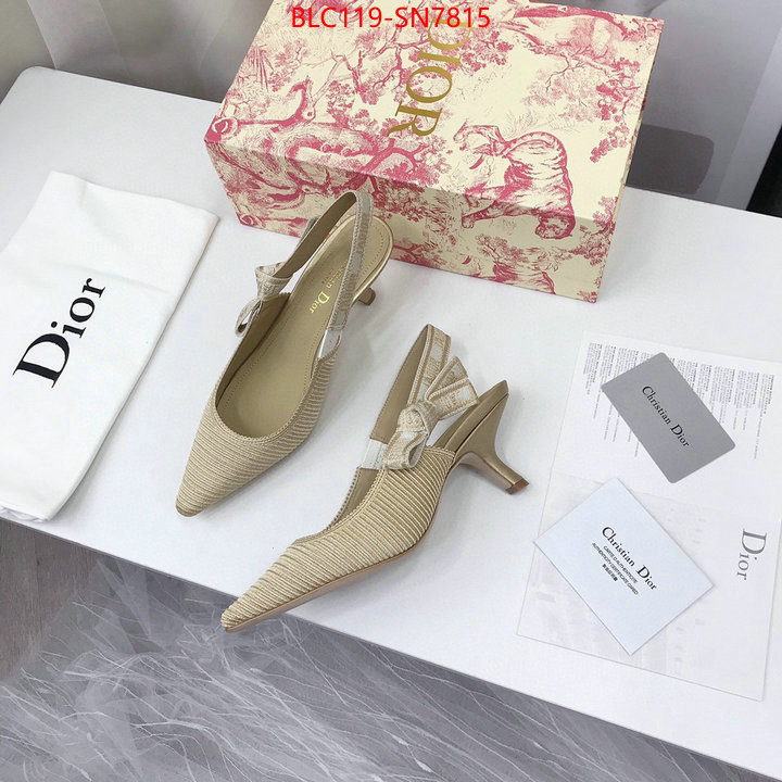 Women Shoes-Dior,shop cheap high quality 1:1 replica , ID: SN7815,$: 119USD