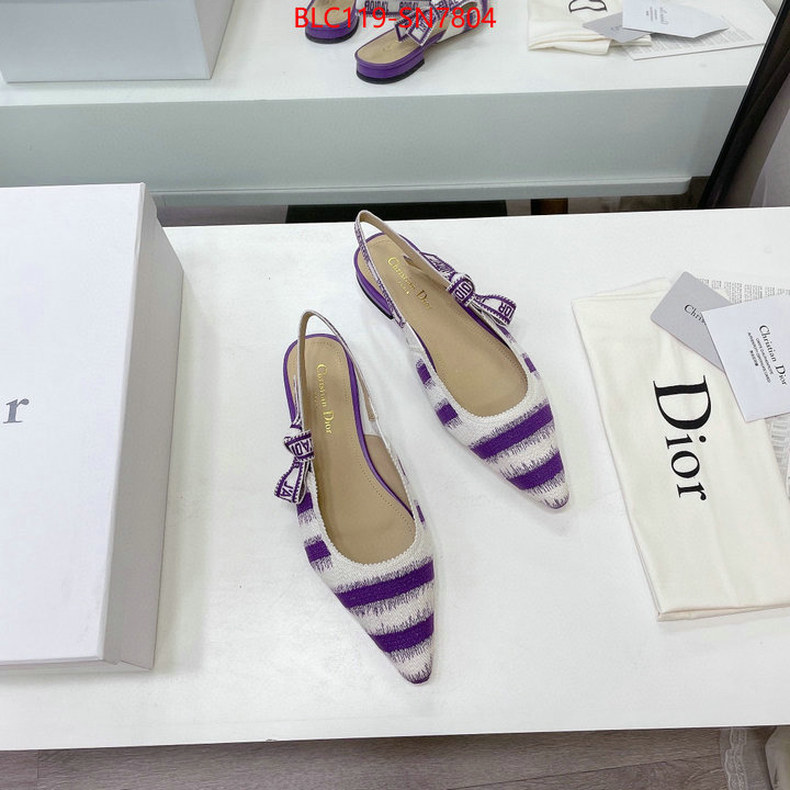 Women Shoes-Dior,wholesale designer shop , ID: SN7804,$: 119USD