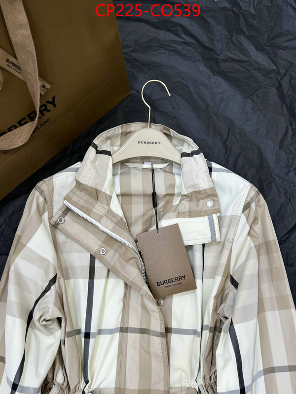 Clothing-Burberry,replica us , ID: CO539,$: 225USD