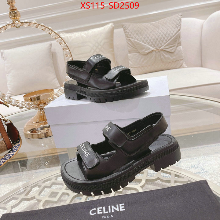 Women Shoes-CELINE,top quality designer replica , ID: SD2509,$: 115USD