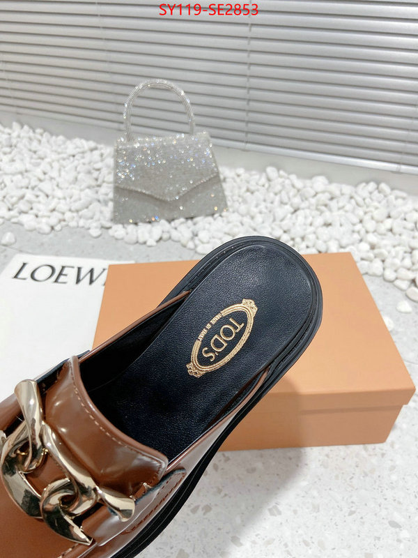 Women Shoes-Tods,top fake designer ,high quality replica designer , ID: SE2853,$: 119USD